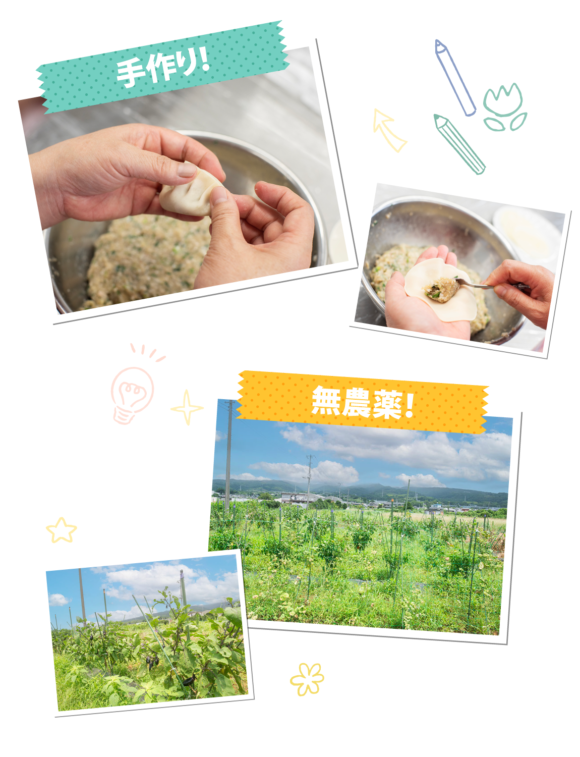 手作り、無農薬